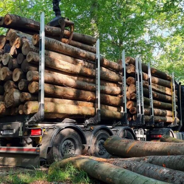 Nadelholz-Stammholz, 50 Raummeter als LKW-Ladung, PEFC-/FSC-zertifiziert